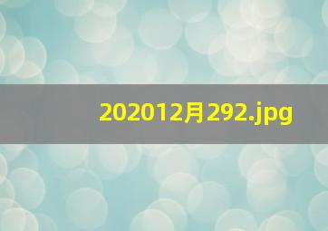 202012月29