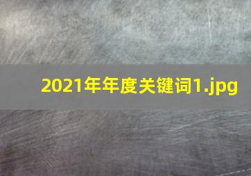 2021年年度关键词