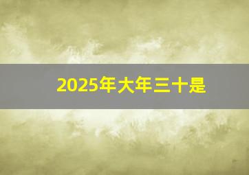 2025年大年三十是
