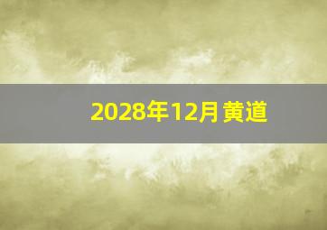 2028年12月黄道
