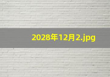 2028年12月