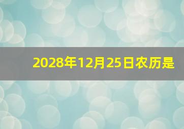 2028年12月25日农历是