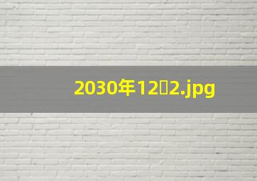 2030年12�