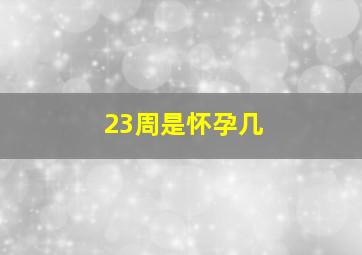23周是怀孕几