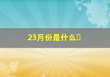 23月份是什么�