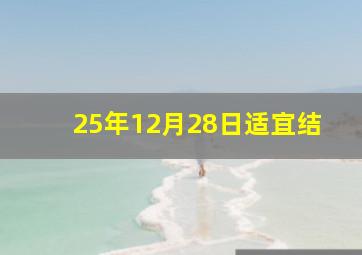 25年12月28日适宜结