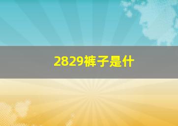 2829裤子是什