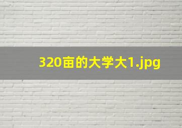 320亩的大学大