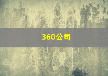 360公司