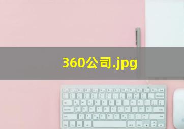 360公司