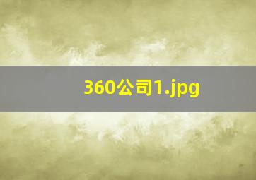 360公司
