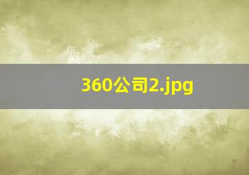 360公司