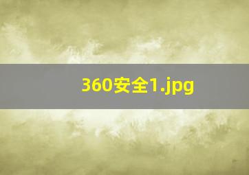 360安全
