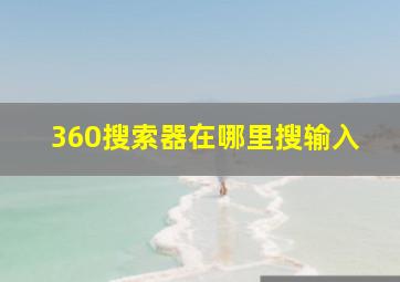 360搜索器在哪里搜输入