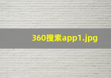 360搜索app