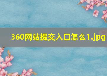 360网站提交入口怎么