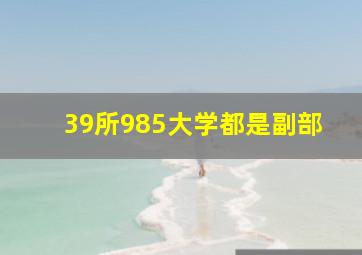 39所985大学都是副部