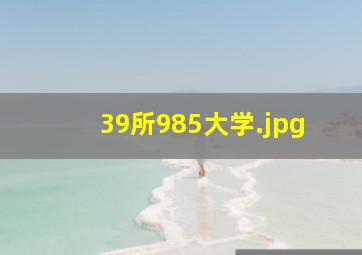 39所985大学