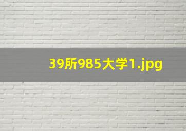 39所985大学