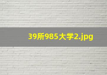 39所985大学
