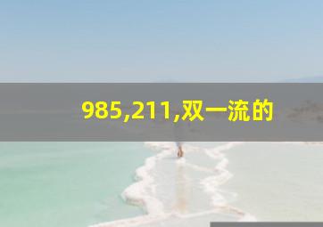 985,211,双一流的