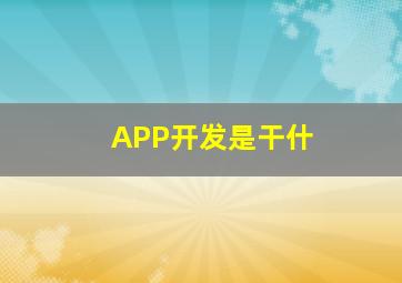 APP开发是干什