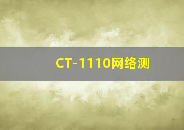 CT-1110网络测