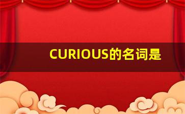 CURIOUS的名词是