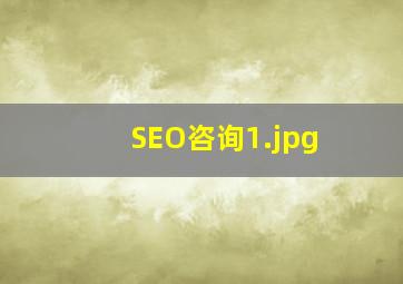 SEO咨询