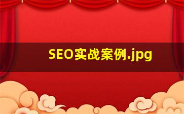 SEO实战案例