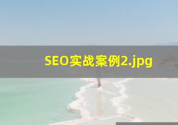 SEO实战案例