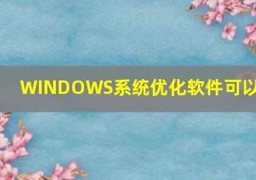 WINDOWS系统优化软件可以删