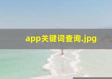 app关键词查询