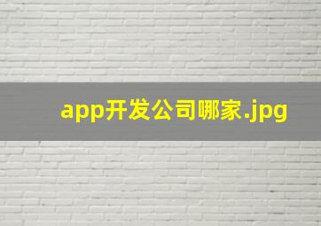 app开发公司哪家