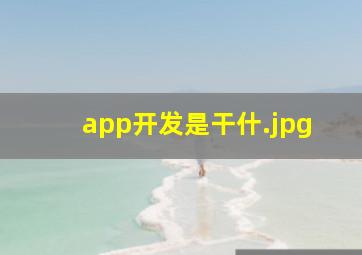 app开发是干什