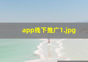 app线下推广