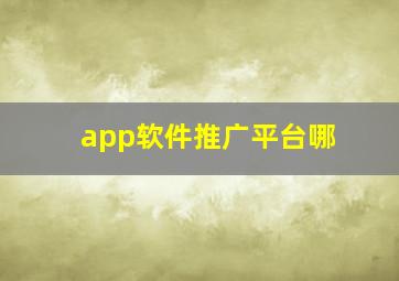 app软件推广平台哪