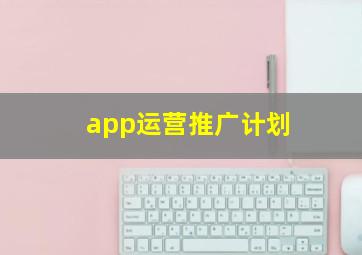app运营推广计划