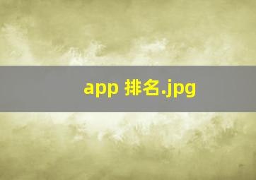 app 排名