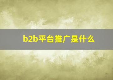 b2b平台推广是什么