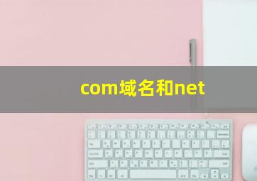 com域名和net
