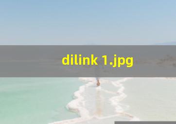 dilink 