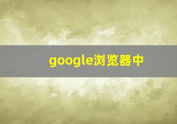 google浏览器中