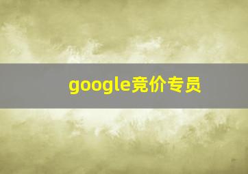 google竞价专员