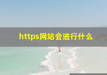 https网站会进行什么