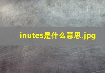 inutes是什么意思