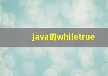 java的whiletrue