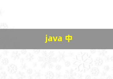 java 中