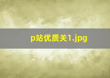 p站优质关