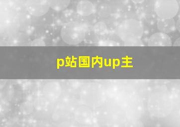 p站国内up主